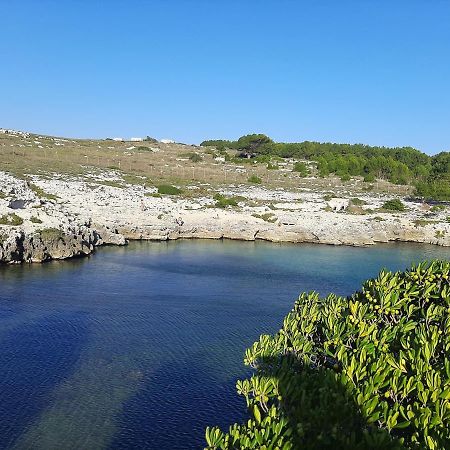 أودجانو لا كييزا B&B Il Palombaro المظهر الخارجي الصورة